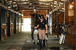 Michael Hanley and the Equestrian Legacy