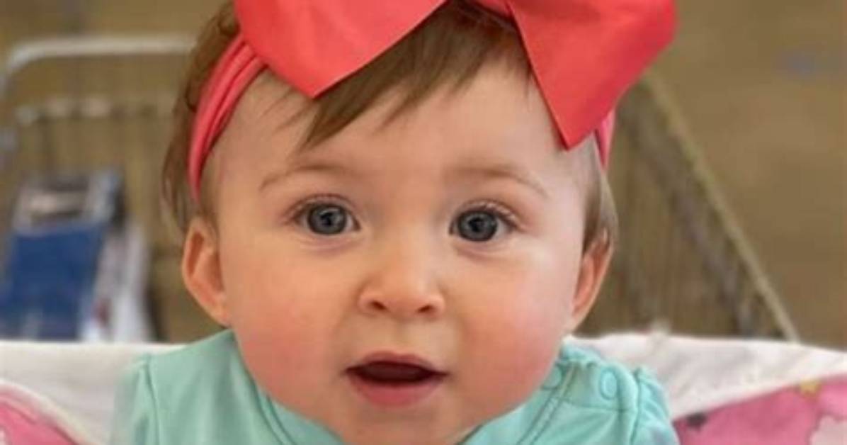 Missing Baby Harlow: Stolen Suv May Have Rolled into Thick Brush, Police Say