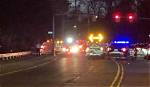 Monica Suh Car Accident: a Tragic Loss of Life in a Fiery Tesla Crash