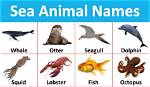 Name Something You Find in a Fish Tank Text or Die Answers ·