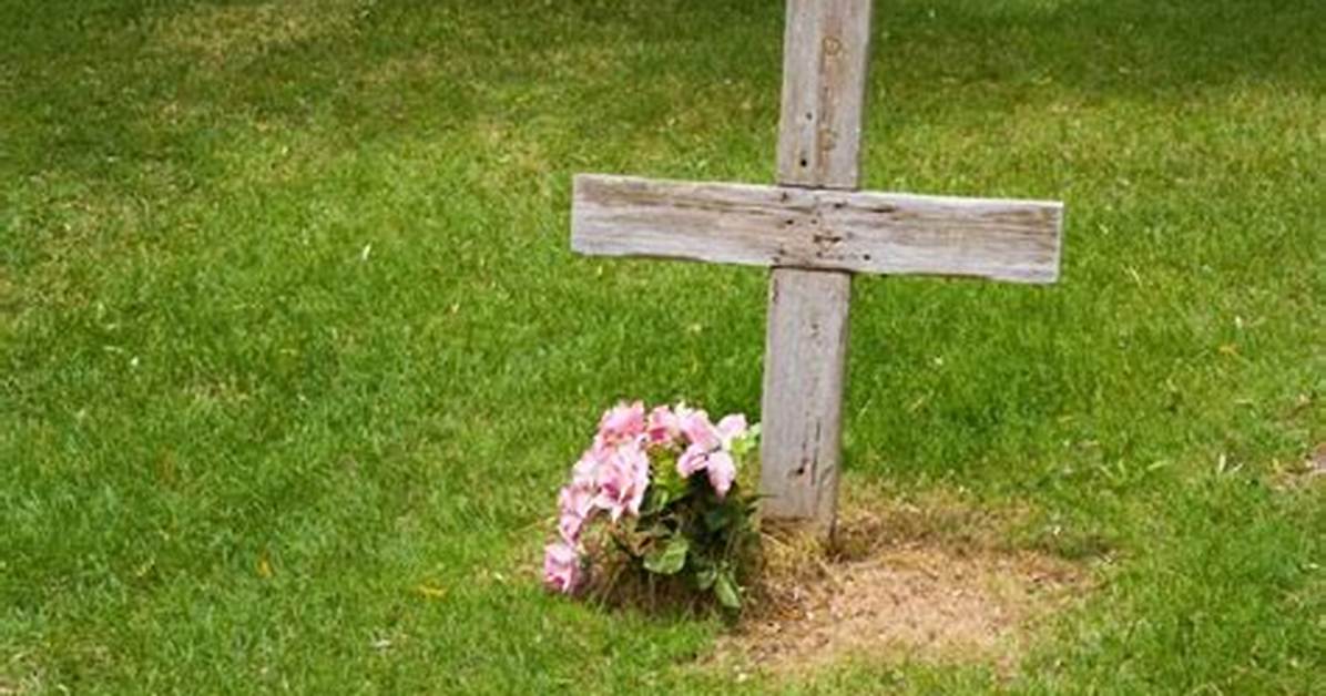 Nick Bucell Obituary and Death Cause ·