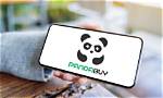 Panda Buy: Is It a Trustworthy Platform?