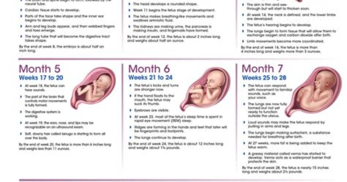 Scheffler Pregnancy Journey: Anticipating the Baby's Arrival