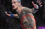 Sean O'malley Tattoo Cover Up