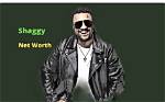 Shaggy Net Worth 2024: a Comprehensive Guide to the Reggae Star's Fortune