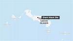 Shark Attacks in Turks and Caicos