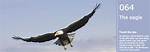 Soar to New Heights: Exploring the Majestic Summits of Mount Yamal