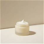 The Enigmatic Journey of the Jar of Fears