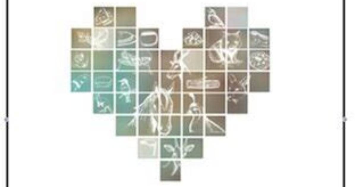 The Heart of Giving: Exploring the Hance Family Foundation