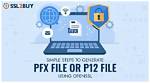 The Intriguing Differences Between Pfx and P12 Certificates