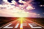The Liven: a Journey Through Life's Vibrant Moments