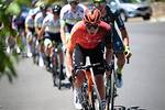 The Rising Stars of Cycling: Lopez De Armentia, Phil Bauhaus, Rainer Kepplinger, and Santiago Buitrago