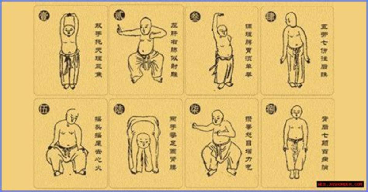 The Ultimate Guide to Adre Jin: Benefits, Uses, and Side Effects