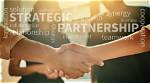 The Ultimate Guide to Partnering with Sainz