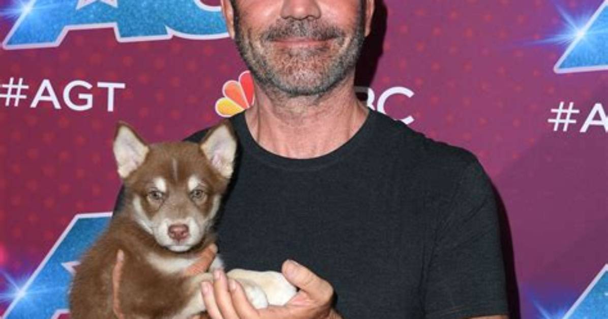 The Ultimate Guide to Simon Cowell's Family in 2023