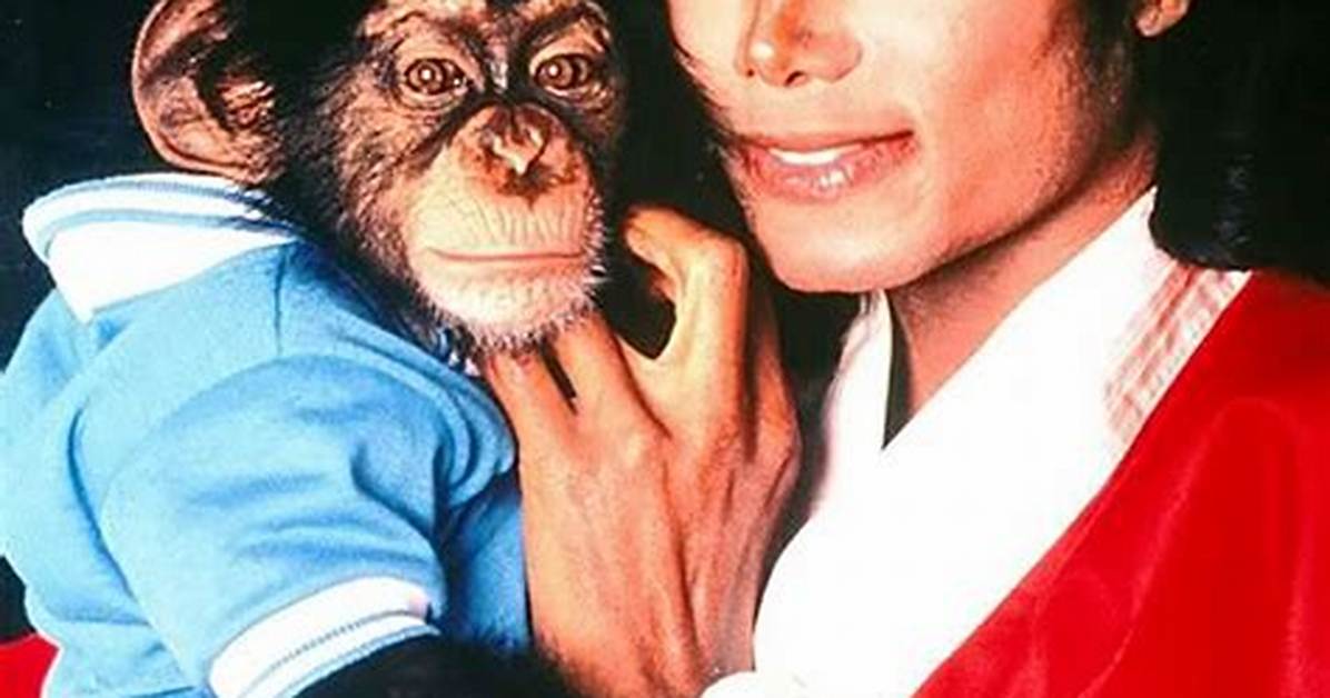 The Untold Story of Michael Wooten's Marriage: Discoveries and Insights