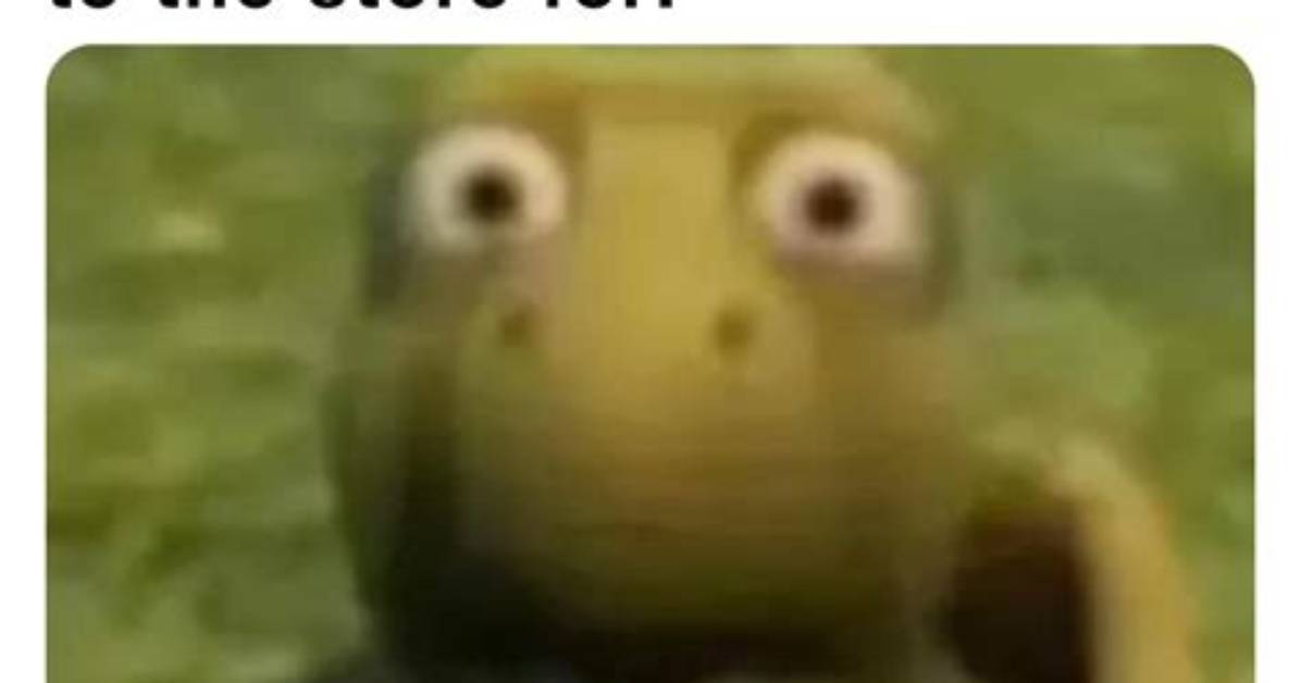 Turtle Meme over the Hedge: Hilarious Memes and Gifs