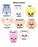 Ultimate Guide to Stray Kids Skzoo Names: Origins and Meanings