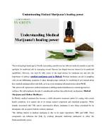 Uncover Medical Marijuana's Healing Power at the Boston Garden Dispensary