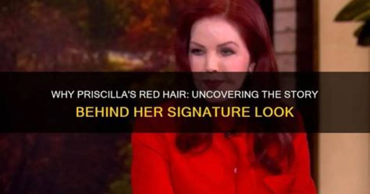 Uncovering the Story Behind the Celebrity Hair Stylist