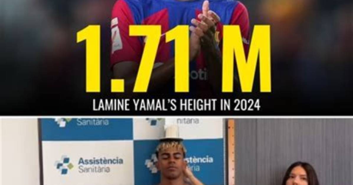 Understanding Lamine Height in Feet: a Comprehensive Guide