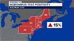 Understanding the Current Stomach Virus Outbreak Map 2024