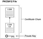 Understanding the Nuances of Pkcs12 vs Pfx: a Comprehensive Guide