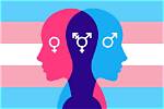 Understanding the Skirby Gender Phenomenon