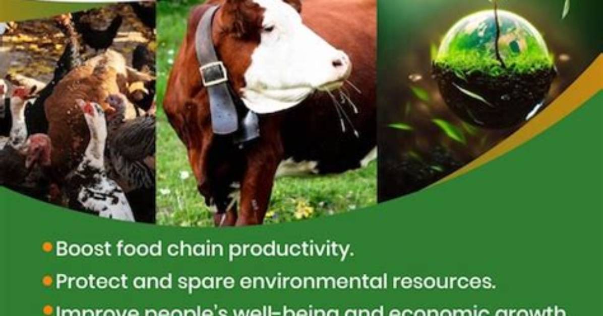 Unlock the Secrets of Sustainable Cattle Production with Slap Dicks Cattle Company