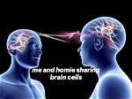 Unlocking the Humor: the Brain Connection Meme Phenomenon