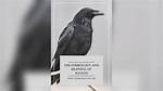 Unlocking the Mystique of Ravens: What Is a Raven?