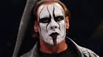 Unmasking the Life of Sting's Wrestler Wife: a Journey of Love and Support