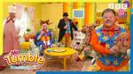 Unmasking the Truth: Is Mister Tumble a Nonce?