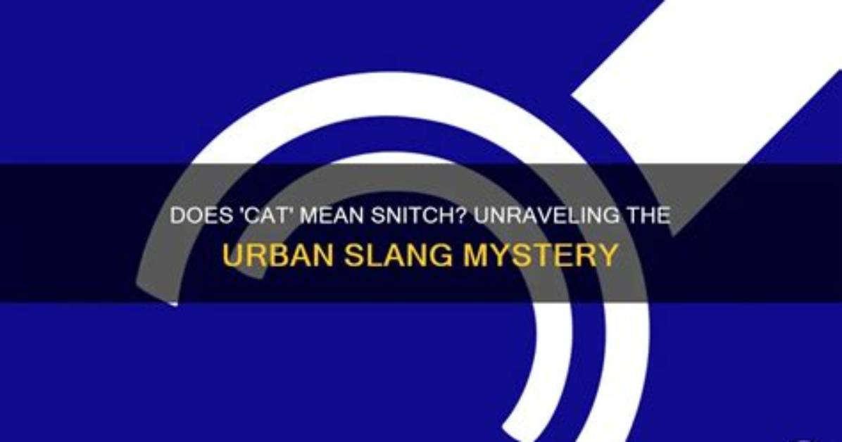 Unraveling the Mystery: Does Locking Eyes Mean Anything?