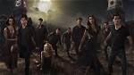 Unraveling the Mystery of Gavin in Vampire Diaries