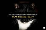 Unraveling the Mystery of Llaw Mean