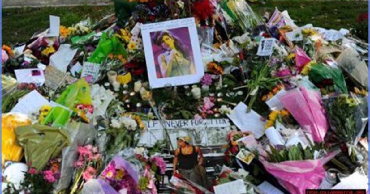 Unraveling the Mystery: the Property Brothers Death