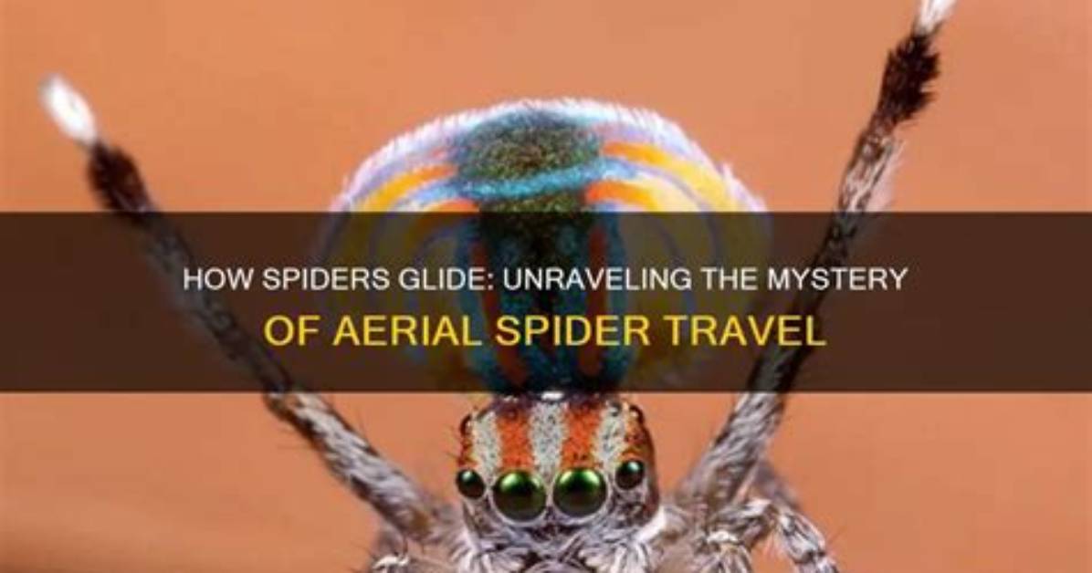 Unraveling the Mystery: Who Is Spider's Father in Avatar?
