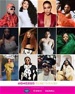 Unveiling the Glamour: the Life of L J Dubai Bling Husband