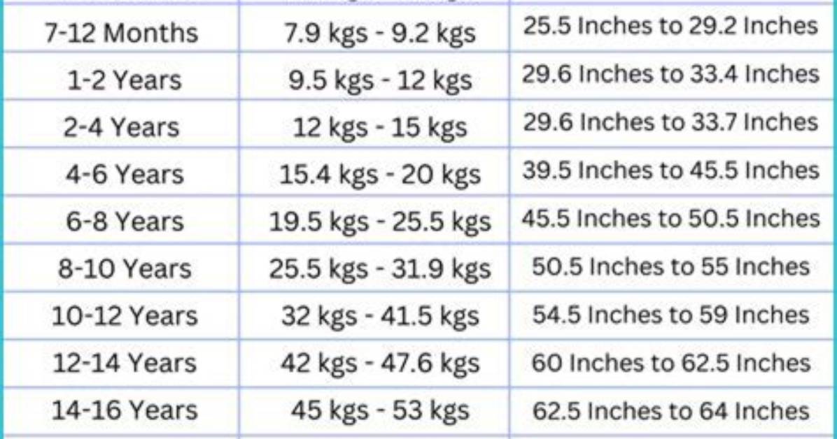 Unveiling the Height, Weight, Age, Boyfriend, Family Facts