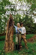 Unveiling the Latest Adventures of Lindsey Kingston: Discoveries and Insights