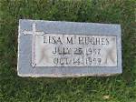 Unveiling the Legacy of Lisa M. Hughes Young: a Transformative Journey