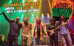 Unveiling the Legacy: Who Is Stephen Marley’s Mother?