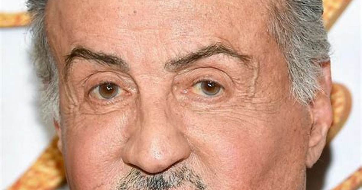 Unveiling the Legend: Silvestre Stalone's Journey to Stardom