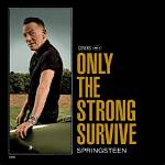 Unveiling the Life of Elena Springsteen