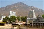 Unveiling the Origins: Where Was Annamalai Born?