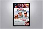 Unveiling the Stars of Dirty Grandpa: a Closer Look at the Actors