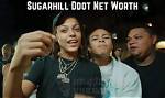 Unveiling the World of Sugarhill Ddot: a Rising Star