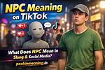 What Is Nawf Tiktok Meaning? Gif and Urban Dictionary Origin Explained ·