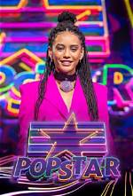 What Is the Pop Star and Tv Show Host Worth?